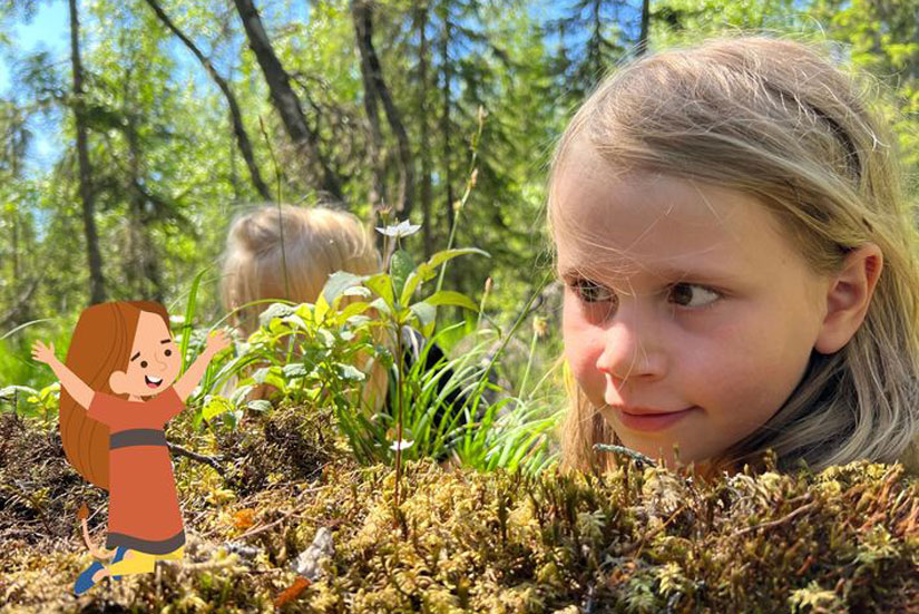 Gjennom prosjektet Huldrefortellinger får barn lære om sjeldne arter i norsk natur, gammel skog og tap av naturmangfold.