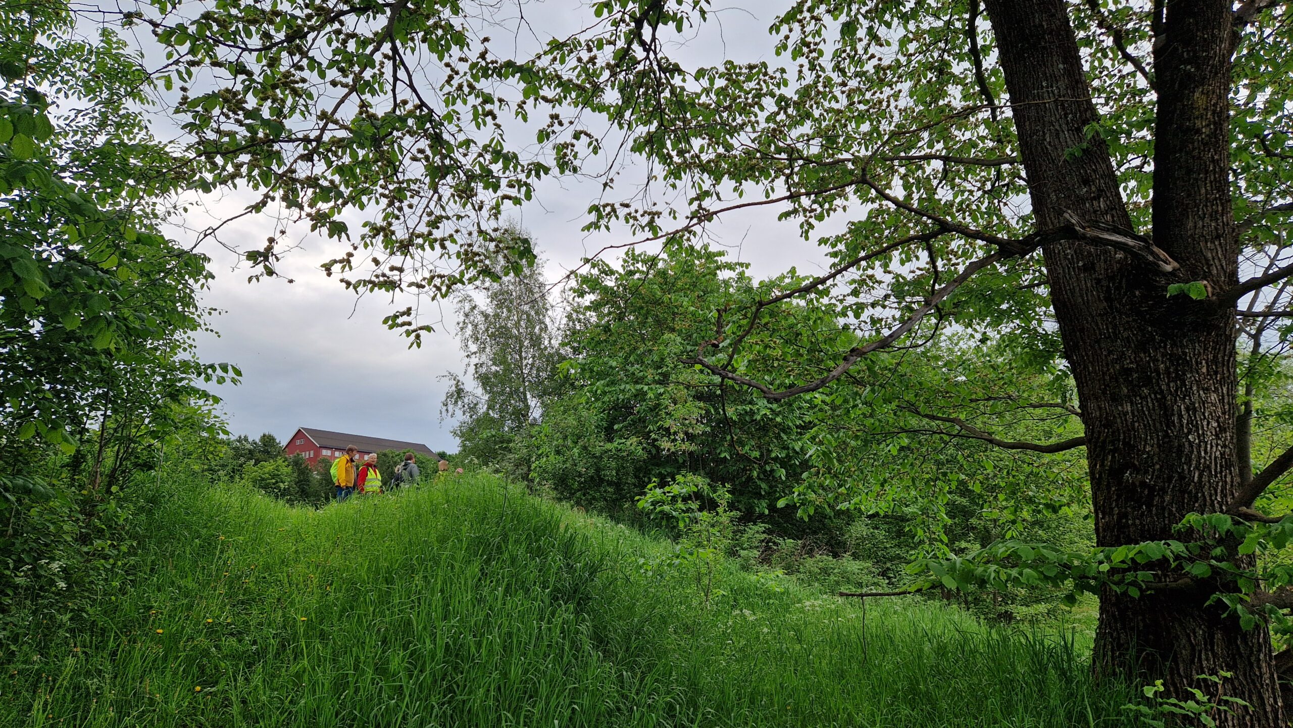 Rusletur langs Mjøsa